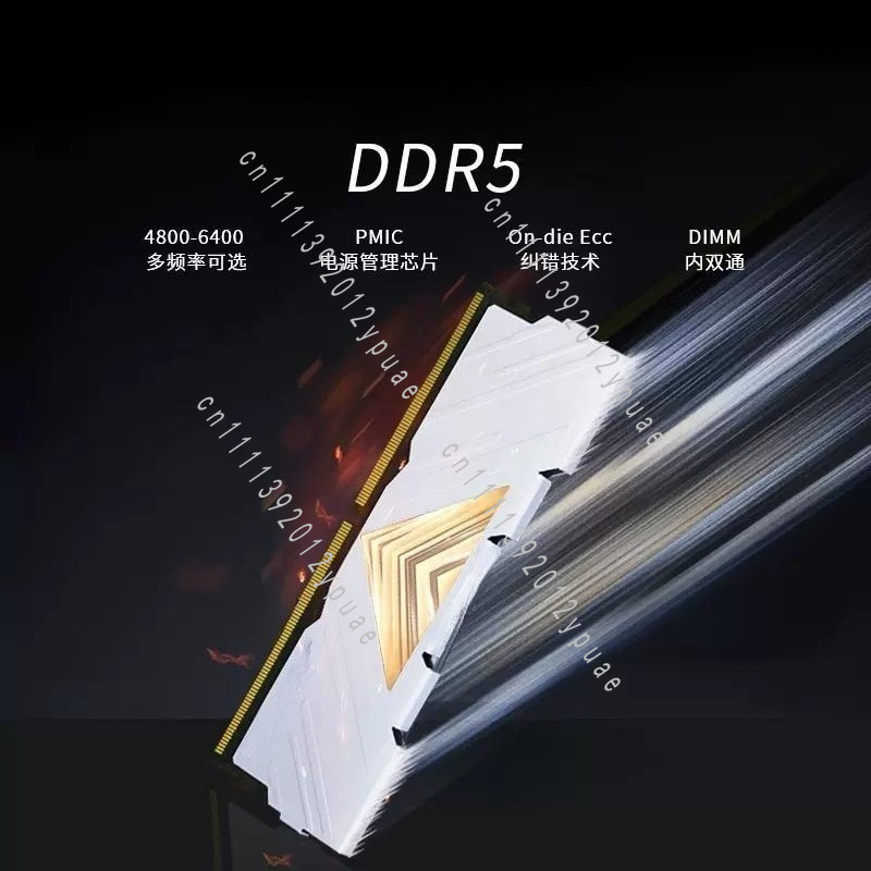 DDR5 데스크탑 RAM 4800 5600 6000MH - Ddr5 6000Mhz 리뷰 및 가격